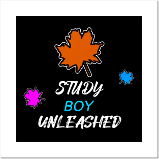 Study Boy Unleashed Posters and Art